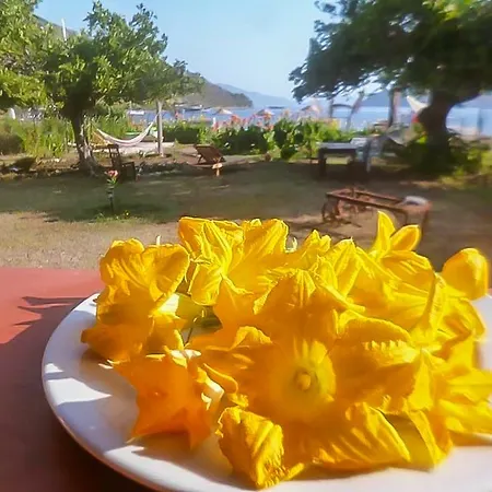 Kocabahce Glamping Kemping Marmaris