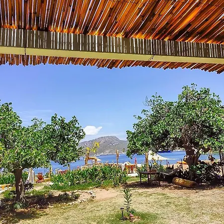 Kocabahce Glamping