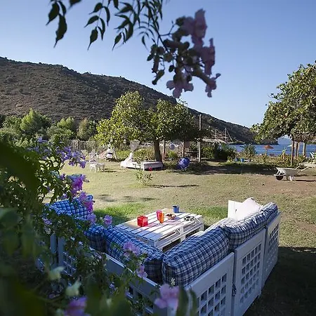 Camping Kocabahce Glamping
