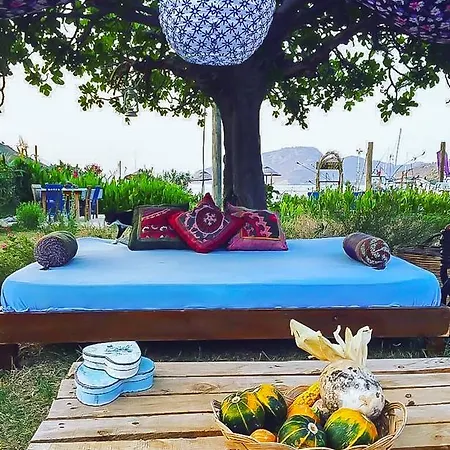 Camping Kocabahce Glamping
