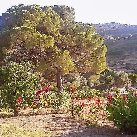Kocabahce Glamping * Marmaris